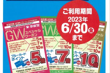 GWブルカ券